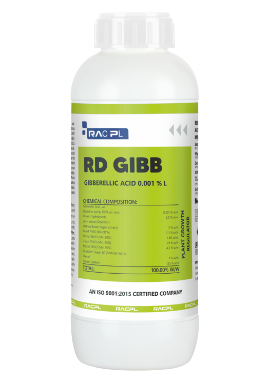 Rd Gibb