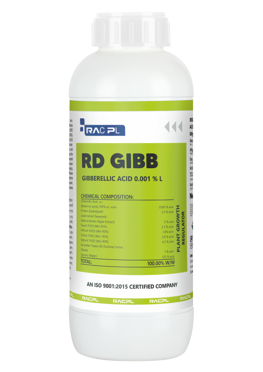 Rd Gibb