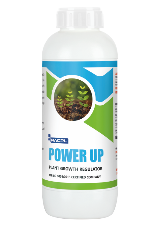 Power Up